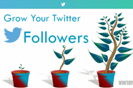 twitter-followers-growth