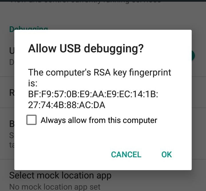 Allow USB debugging access