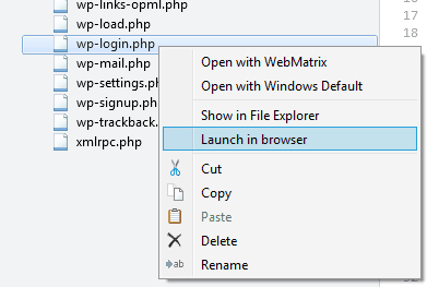 wp-login.php file