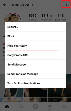 copy Profile URL instagram