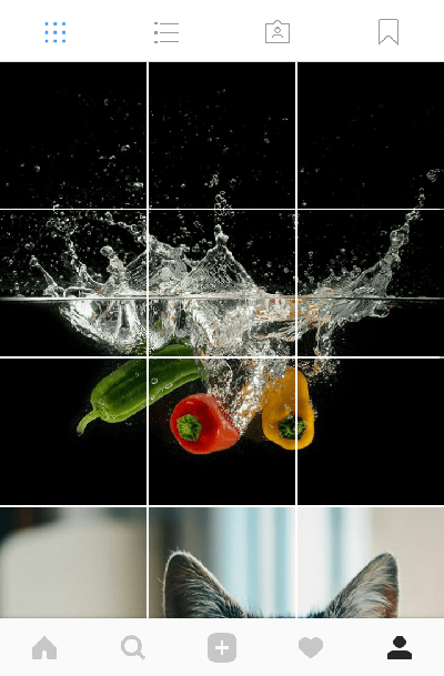 the grid in instagram