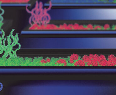 Protein factories on a chip