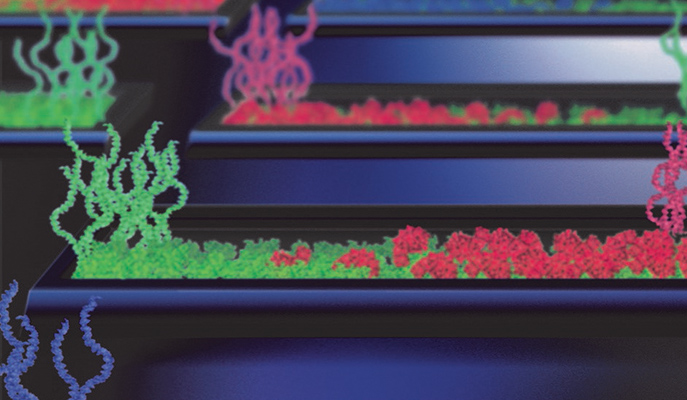 Protein factories on a chip