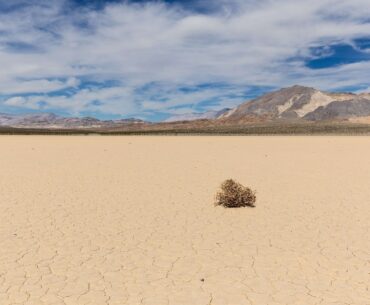 Tumbleweed