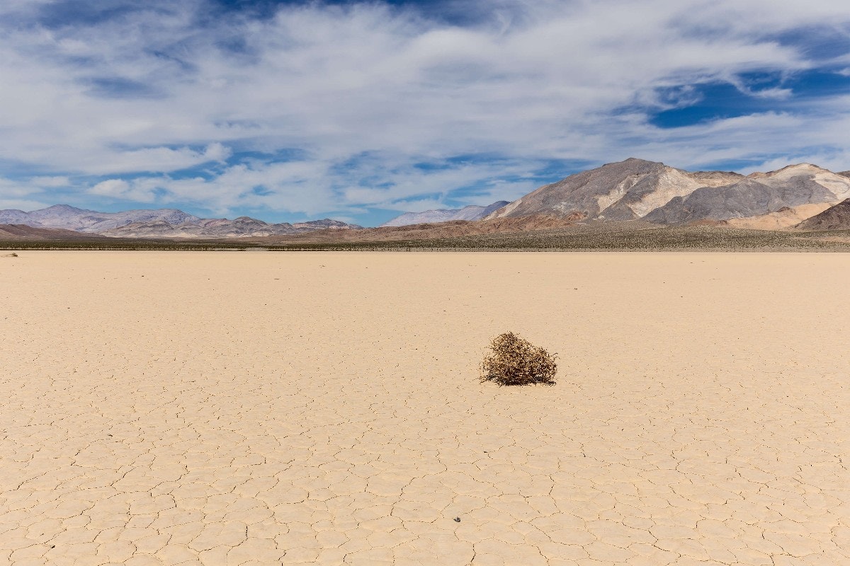 Tumbleweed