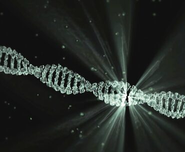 dna 2649850 1920