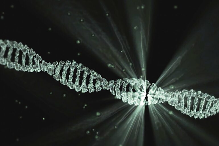 dna 2649850 1920