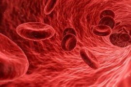 Biotechnology