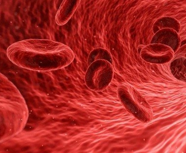 Biotechnology