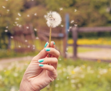 Environmental Allergies