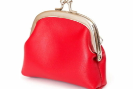 Red purse on white background
